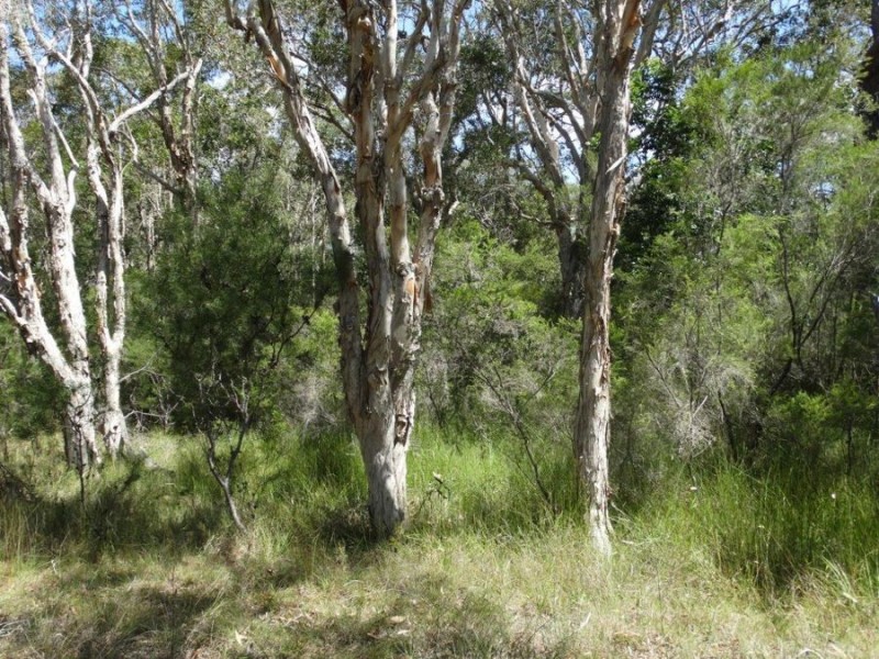 Lot 33 Pacific Drive, Deepwater QLD 4674