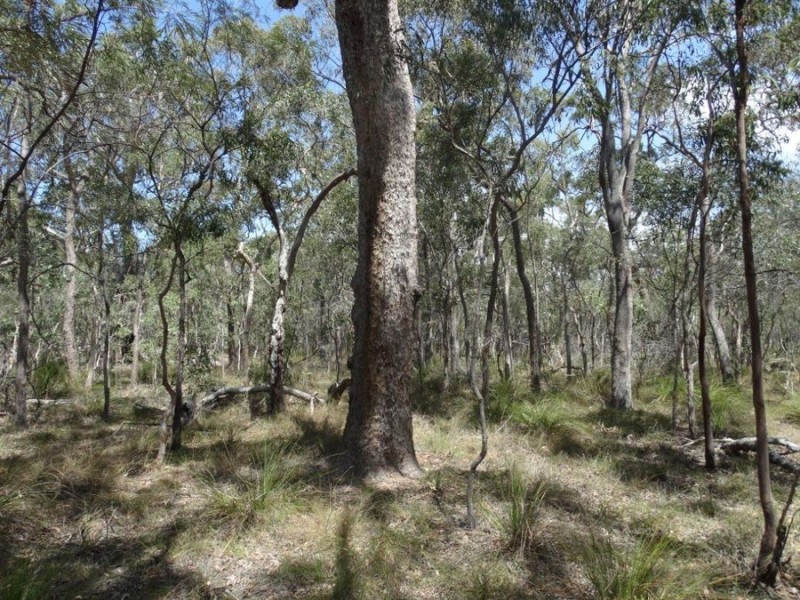 Lot 33 Pacific Drive, Deepwater QLD 4674