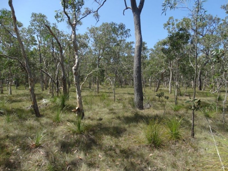Lot 33 Pacific Drive, Deepwater QLD 4674