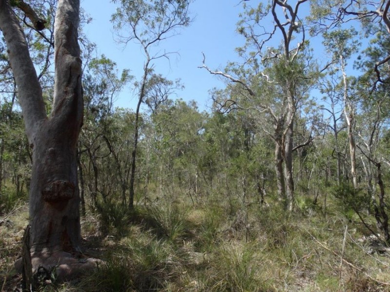 Lot 33 Pacific Drive, Deepwater QLD 4674