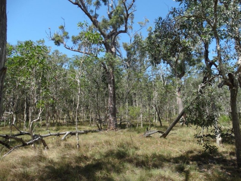 Lot 33 Pacific Drive, Deepwater QLD 4674