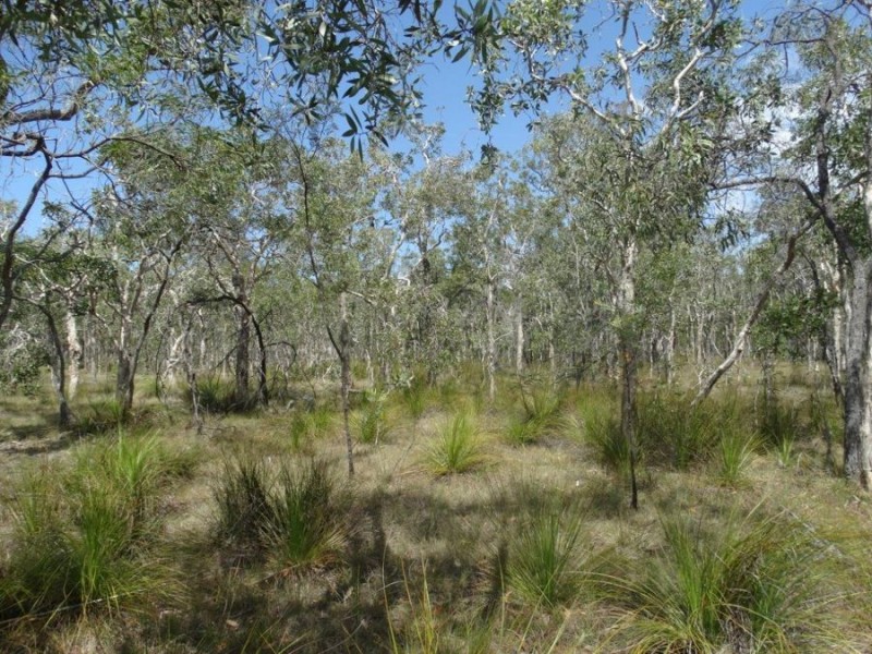Lot 33 Pacific Drive, Deepwater QLD 4674