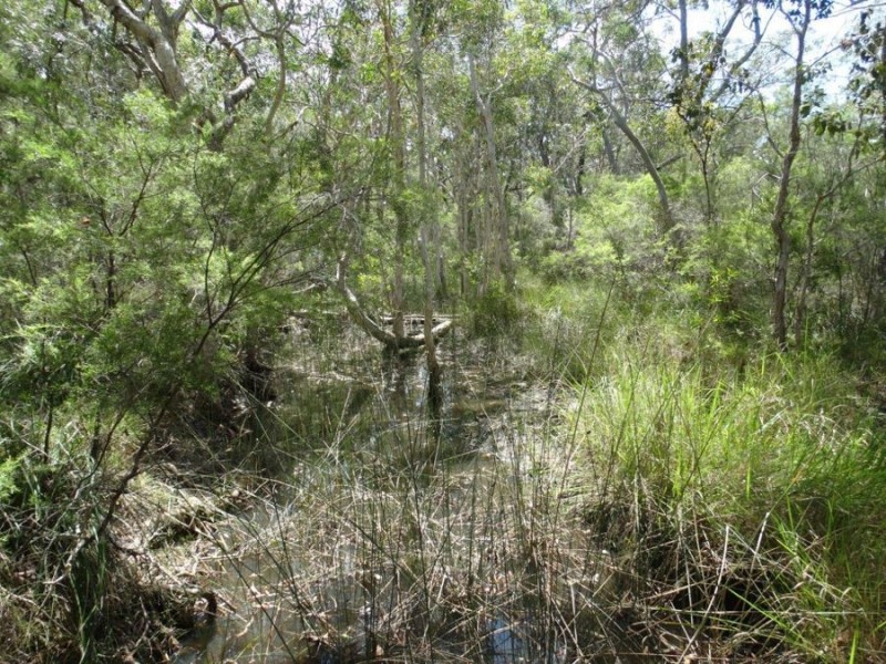 Lot 33 Pacific Drive, Deepwater QLD 4674