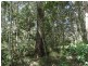 Lot 33 Pacific Drive, Deepwater QLD 4674