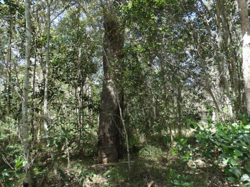 Lot 33 Pacific Drive, Deepwater QLD 4674