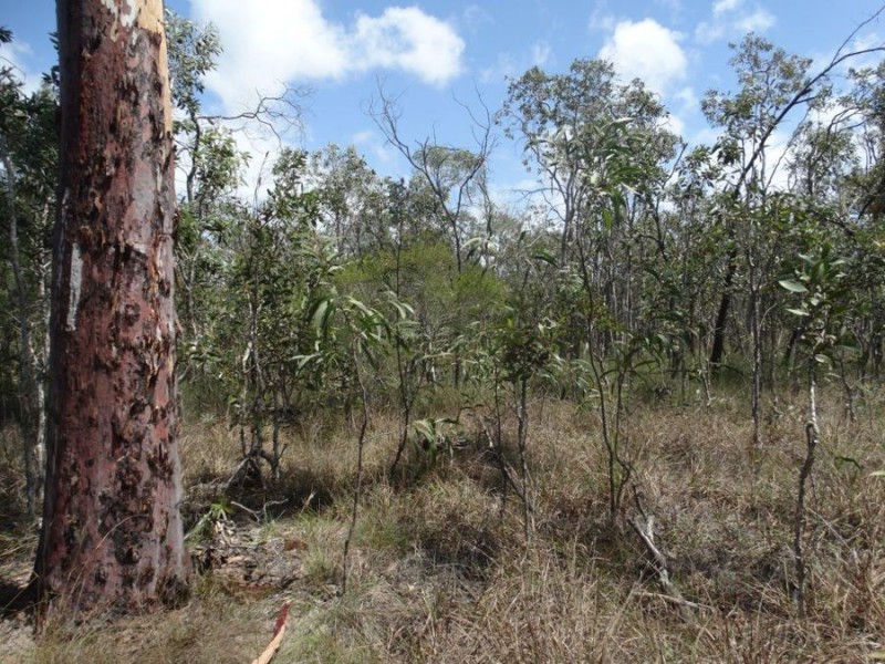 Lot 33 Pacific Drive, Deepwater QLD 4674