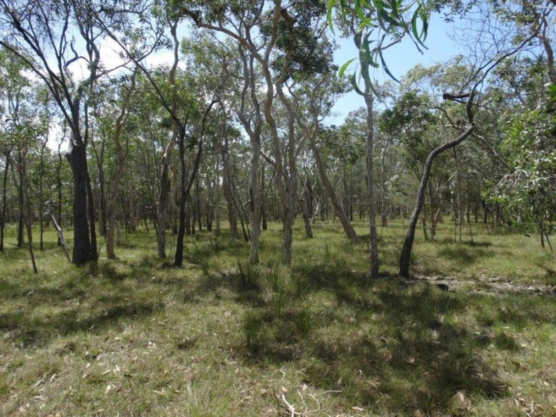 Lot 33 Pacific Drive, Deepwater QLD 4674