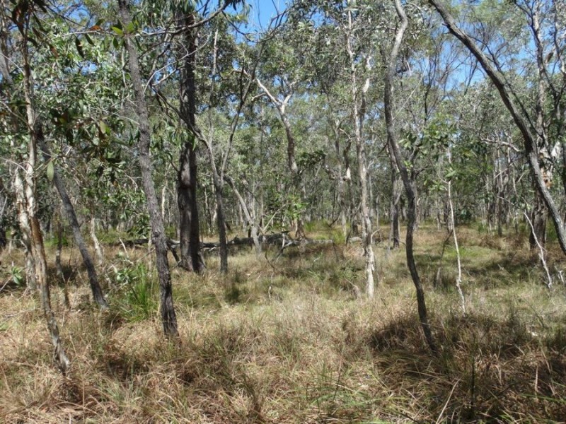 Lot 33 Pacific Drive, Deepwater QLD 4674