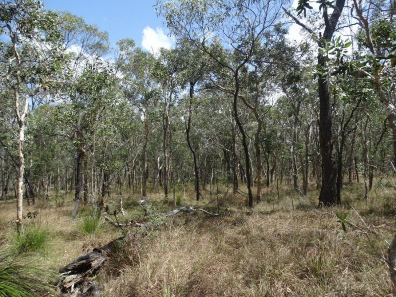 Lot 33 Pacific Drive, Deepwater QLD 4674
