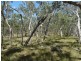 Lot 33 Pacific Drive, Deepwater QLD 4674