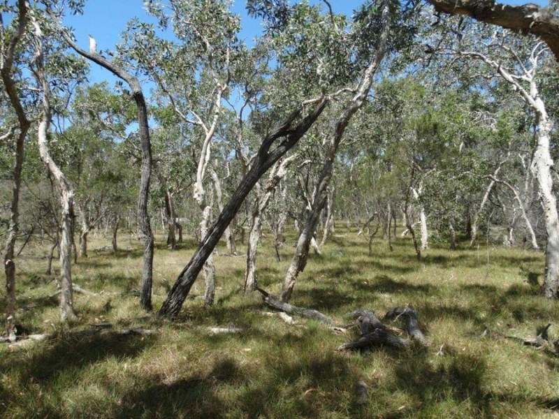 Lot 33 Pacific Drive, Deepwater QLD 4674