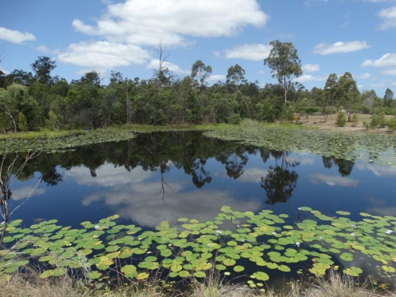 521 Mineral Road, Rosedale QLD 4674