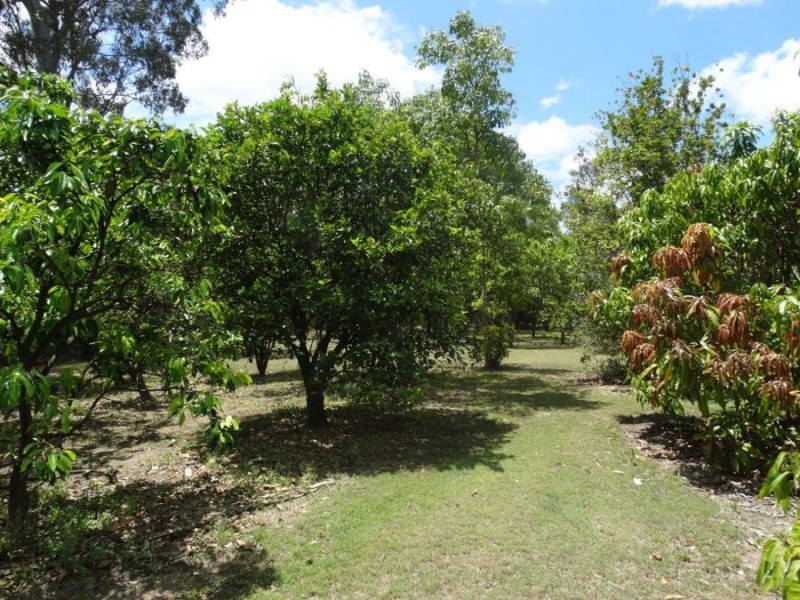 521 Mineral Road, Rosedale QLD 4674