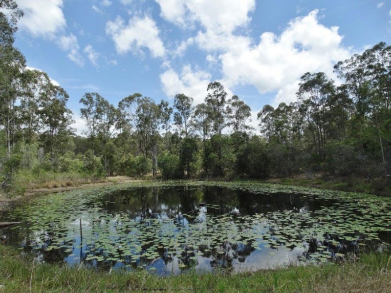 521 Mineral Road, Rosedale QLD 4674