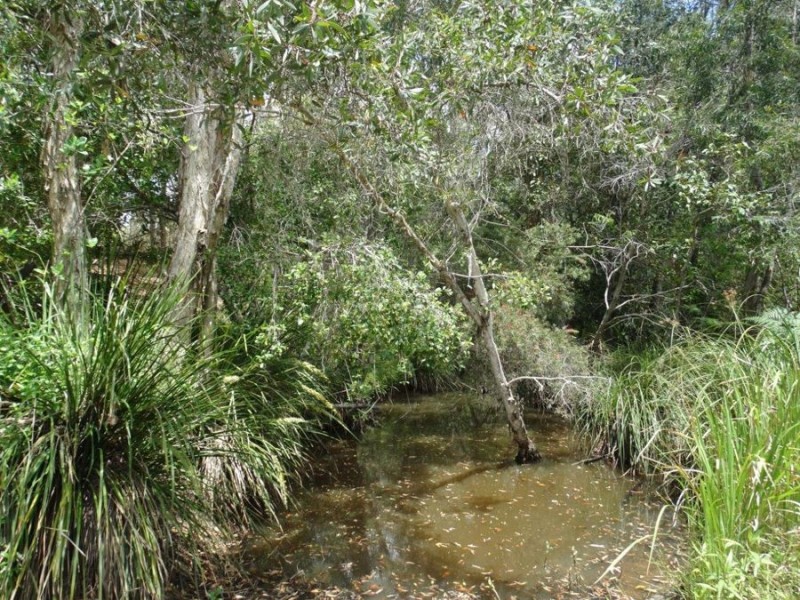 521 Mineral Road, Rosedale QLD 4674