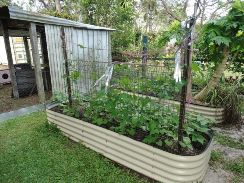 10 Brennan Street, Miriam Vale QLD 4677
