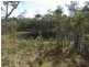 301 Whytallabah Road, Euleilah QLD 4674