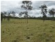 890 Monduran Road, Waterloo QLD 4673