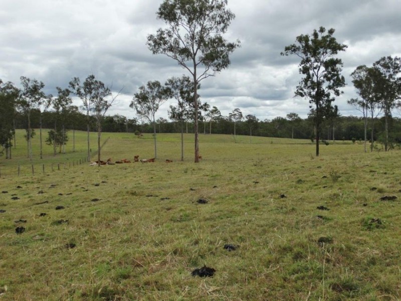 890 Monduran Road, Waterloo QLD 4673