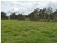 890 Monduran Road, Waterloo QLD 4673