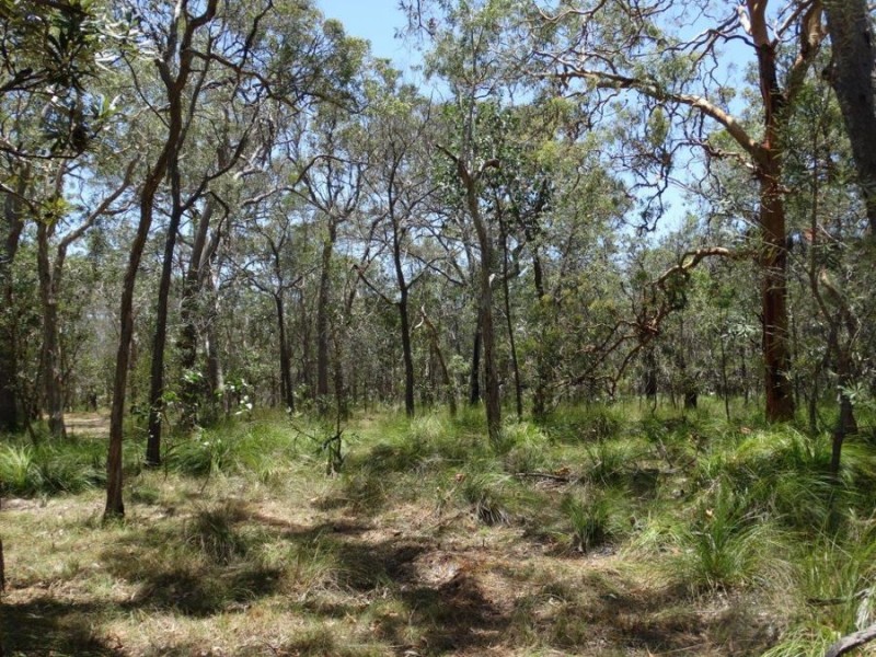 299 Lindy Drive, Rules Beach QLD 4674