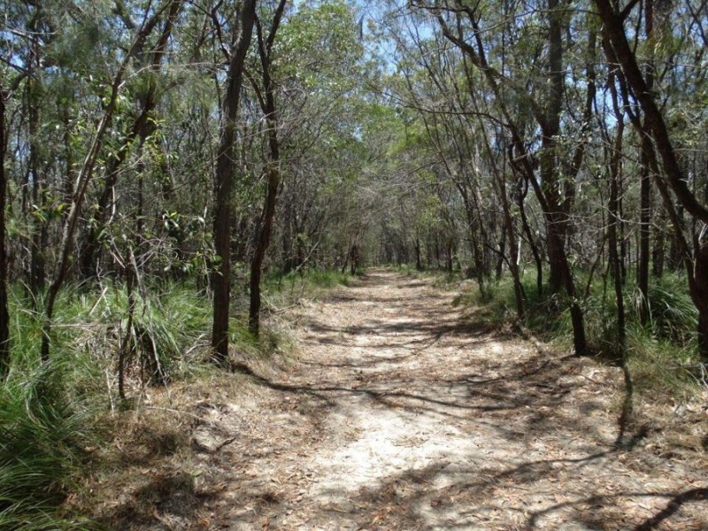 299 Lindy Drive, Rules Beach QLD 4674