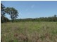 1298 Monduran Road, Waterloo QLD 4673