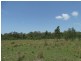 1298 Monduran Road, Waterloo QLD 4673