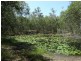 1298 Monduran Road, Waterloo QLD 4673