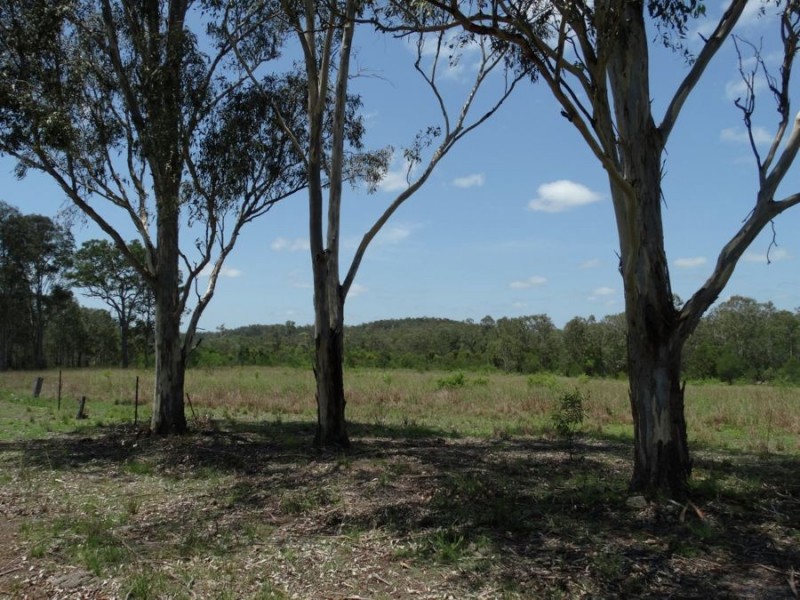 1298 Monduran Road, Waterloo QLD 4673