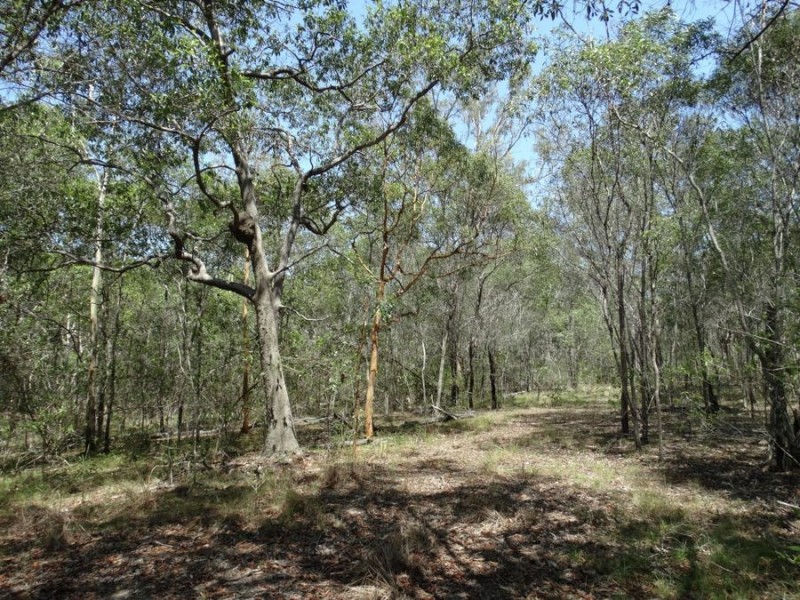 1298 Monduran Road, Waterloo QLD 4673