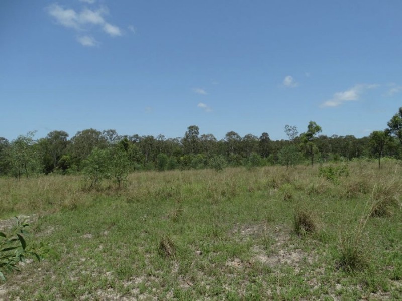 1298 Monduran Road, Waterloo QLD 4673