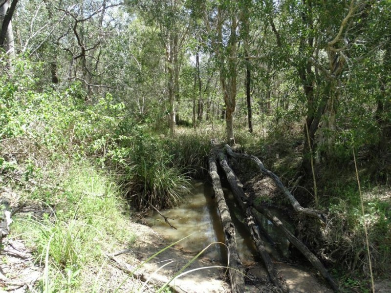 1298 Monduran Road, Waterloo QLD 4673