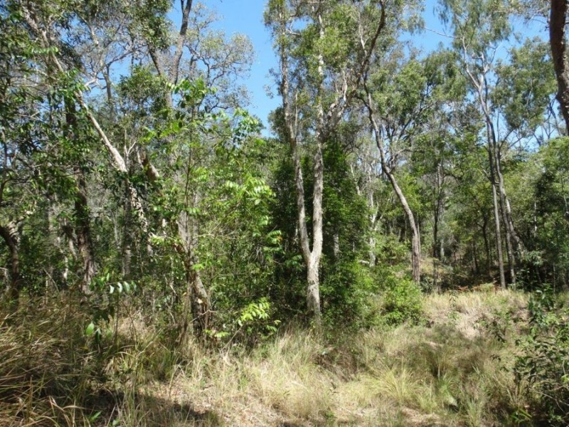 90 Bald Rock Road, Berajondo QLD 4674