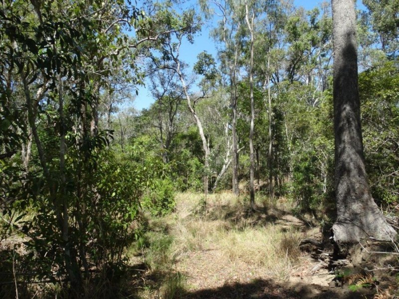 90 Bald Rock Road, Berajondo QLD 4674