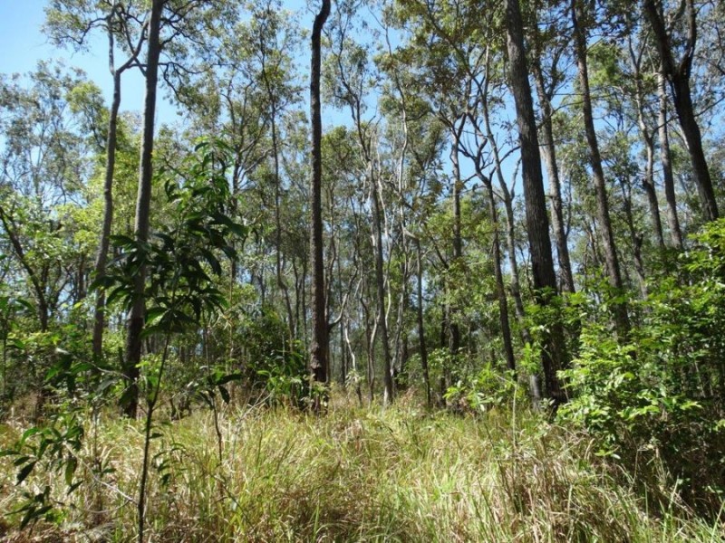 90 Bald Rock Road, Berajondo QLD 4674