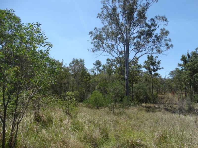 90 Bald Rock Road, Berajondo QLD 4674