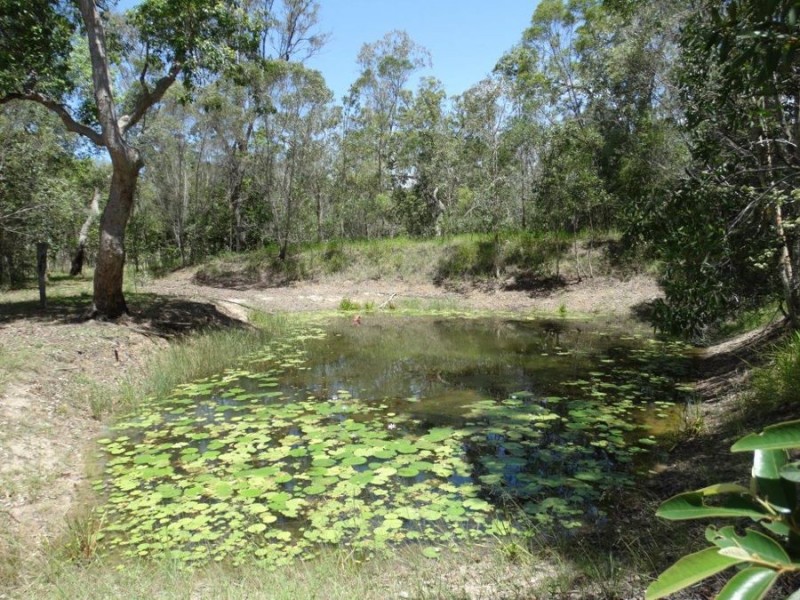 275 Muller Road, Baffle Creek QLD 4674