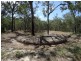 189 Seabreeze Court, Deepwater QLD 4674