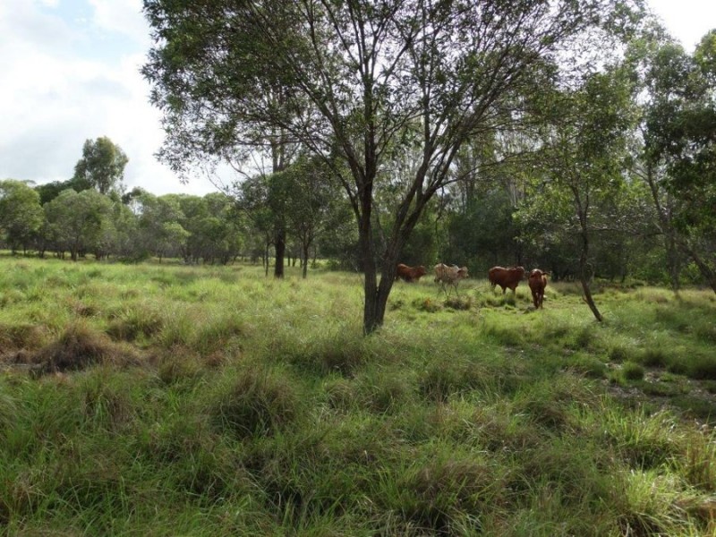 Lot 1 Neils Road, Rosedale QLD 4674