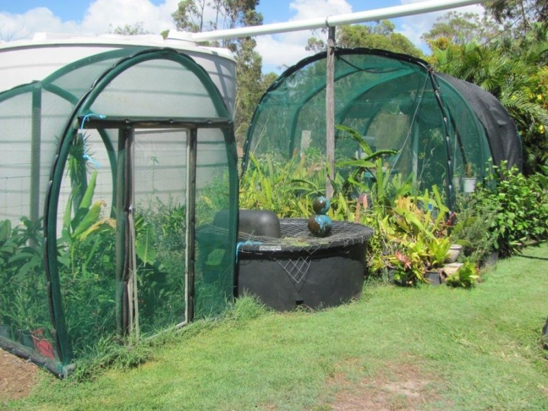 457 Deepwater Road, Deepwater QLD 4674