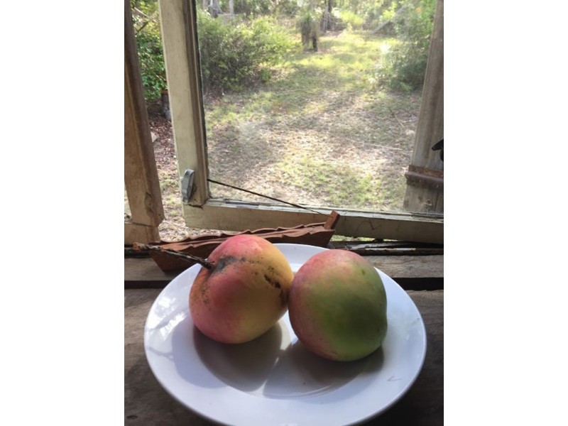 358 Muller Road, Baffle Creek QLD 4674