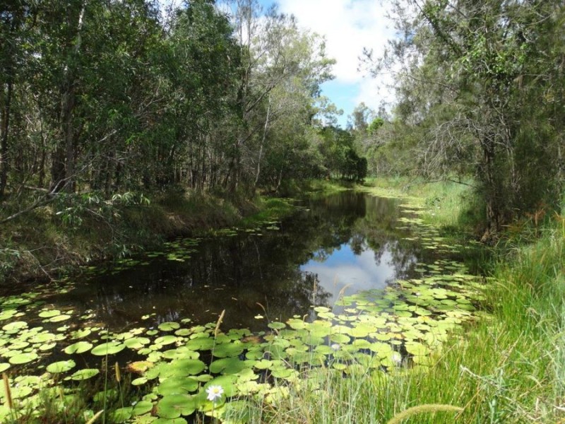 Lot 2 Neils Road, Rosedale QLD 4674