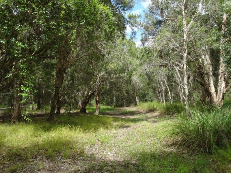 Lot 2 Neils Road, Rosedale QLD 4674