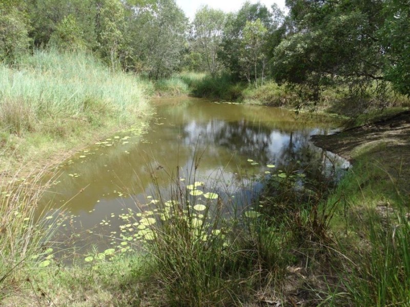 Lot 2 Neils Road, Rosedale QLD 4674