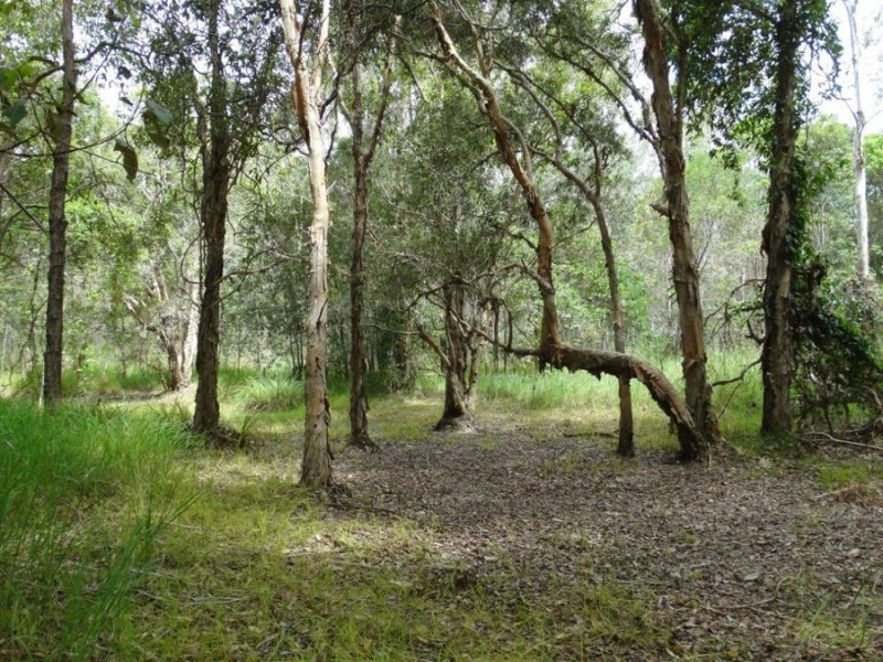 Lot 2 Neils Road, Rosedale QLD 4674