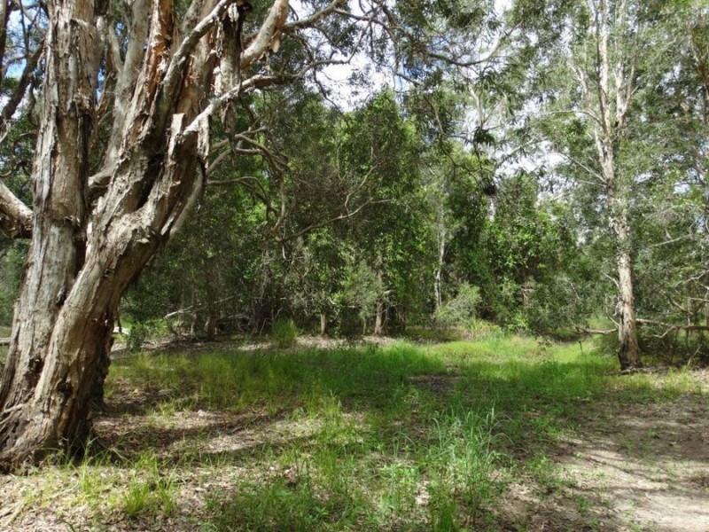 Lot 2 Neils Road, Rosedale QLD 4674