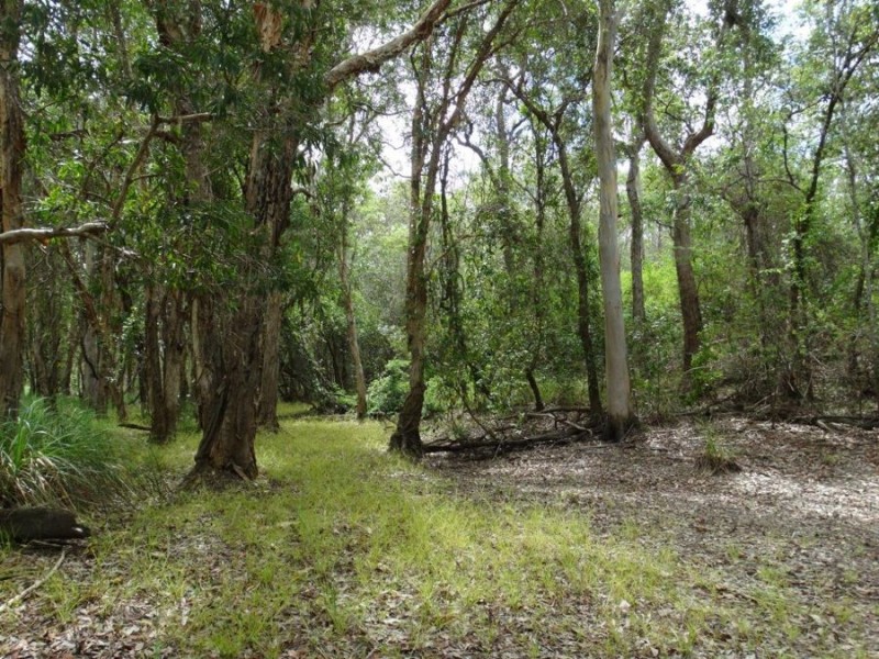 Lot 2 Neils Road, Rosedale QLD 4674