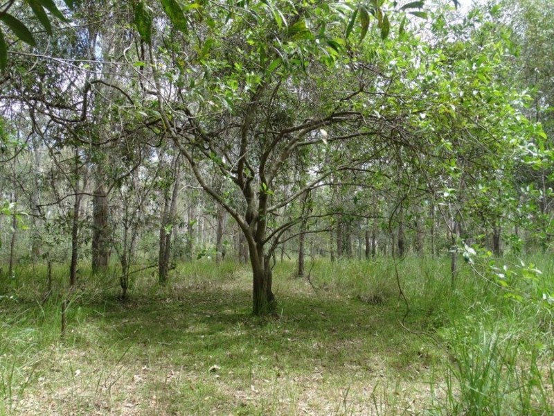 Lot 2 Neils Road, Rosedale QLD 4674