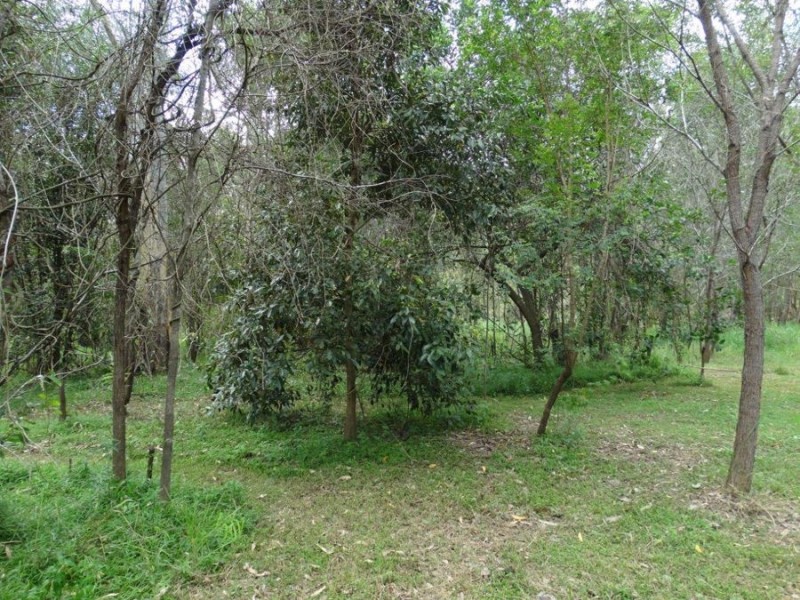 Lot 2 Neils Road, Rosedale QLD 4674